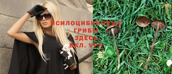 дмт Арсеньев
