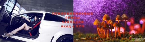 молекула духа Алексеевка