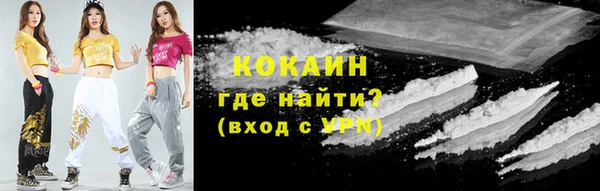 дмт Арсеньев