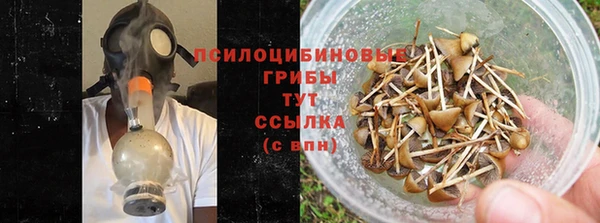 дмт Арсеньев