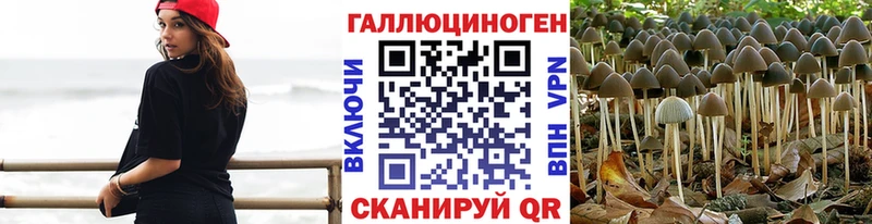 Галлюциногенные грибы Cubensis  МЕГА онион  Строитель 